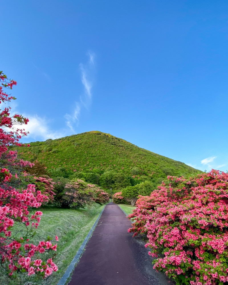 函館観光スポット