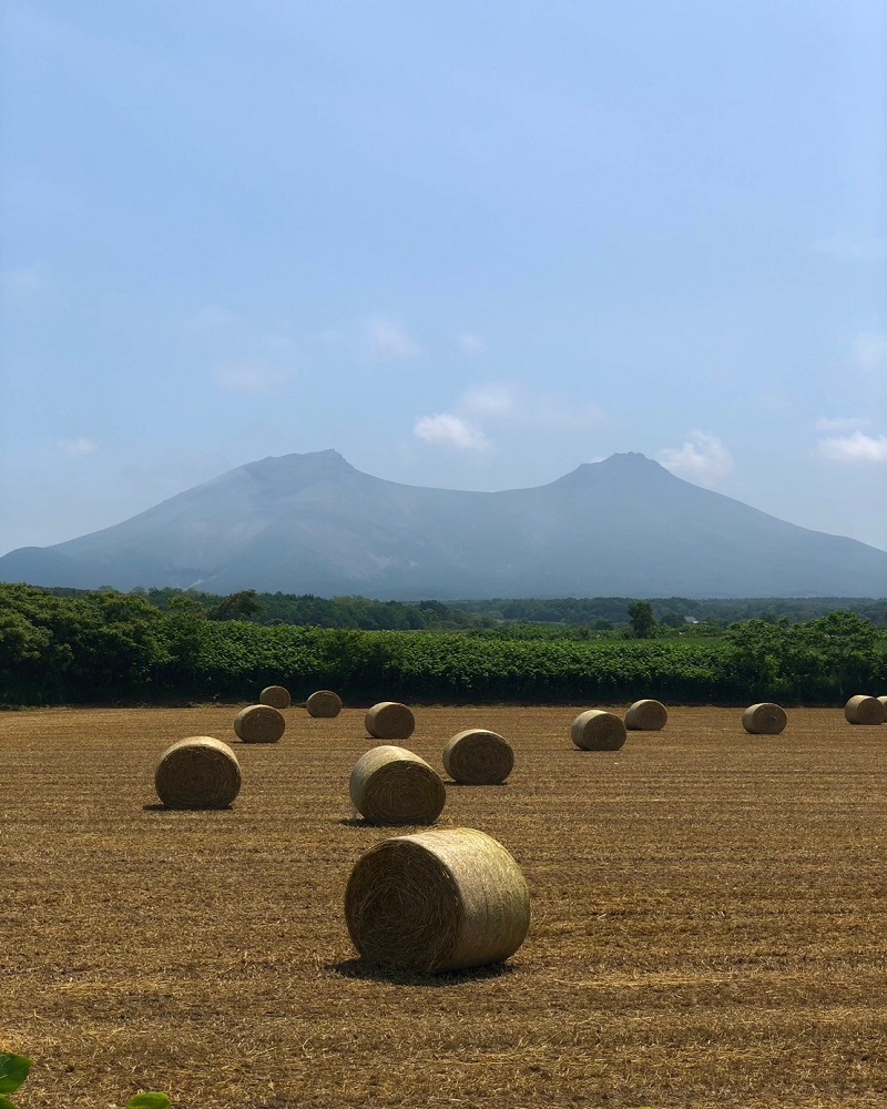 函館観光スポット