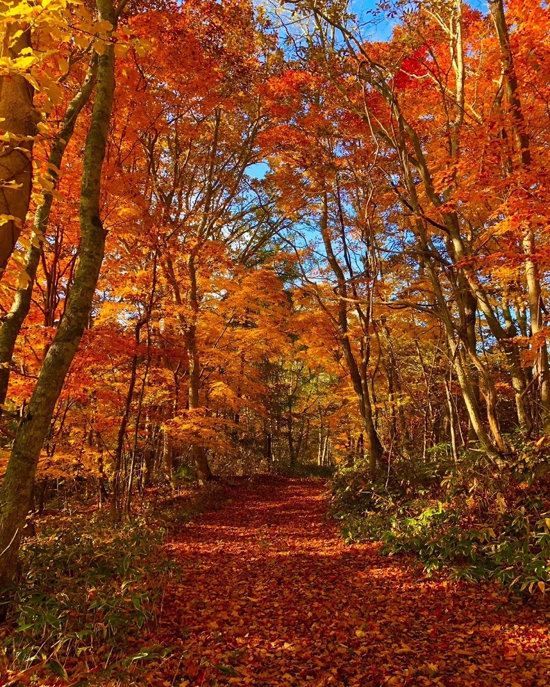 函館観光スポット