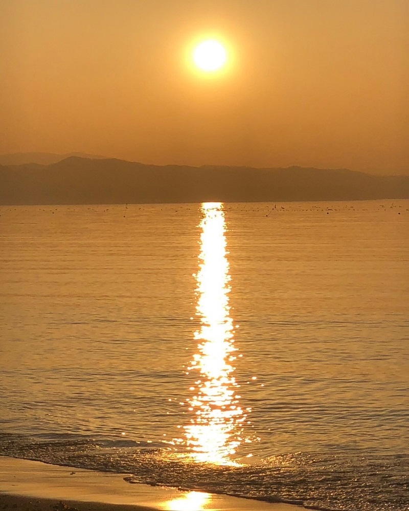 函館観光スポット