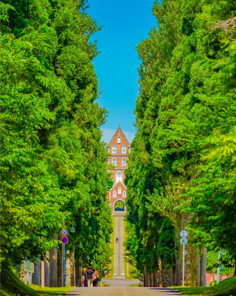 函館観光スポット