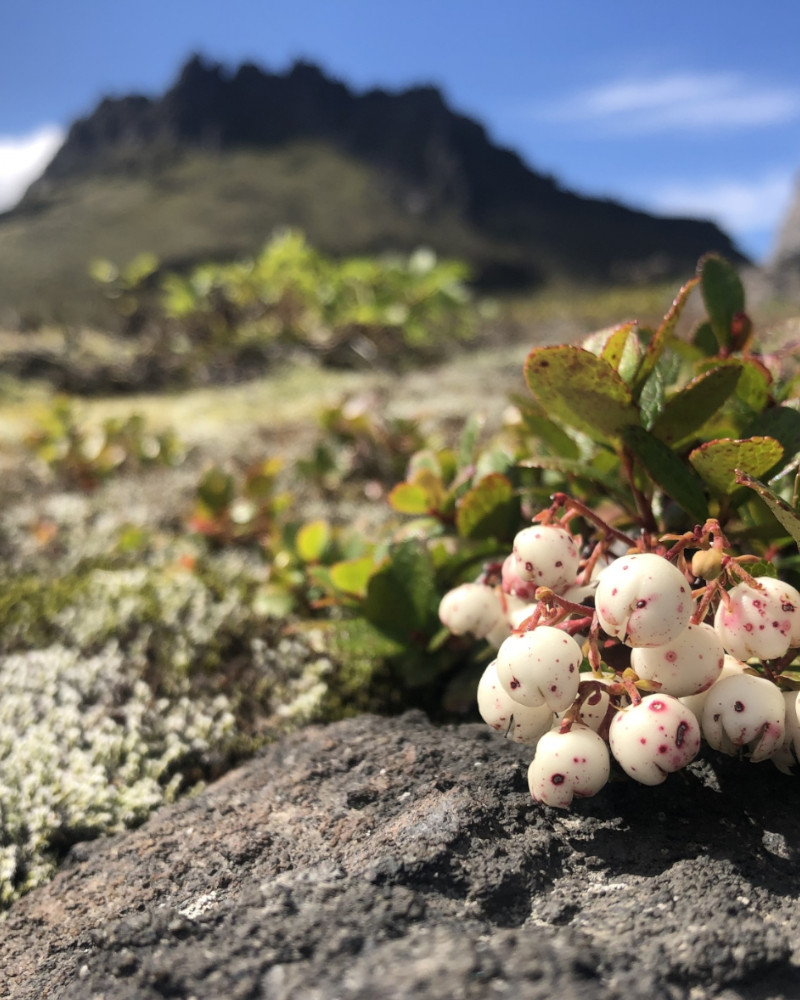 函館山トレッキング風景