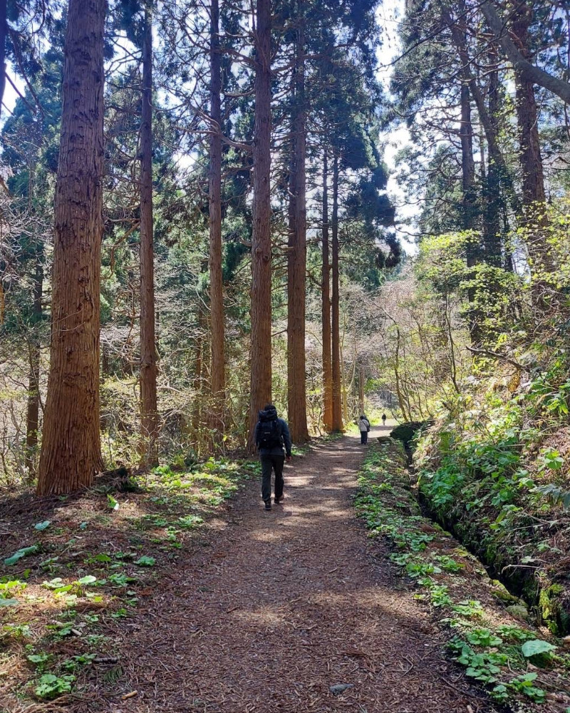函館山トレッキング風景