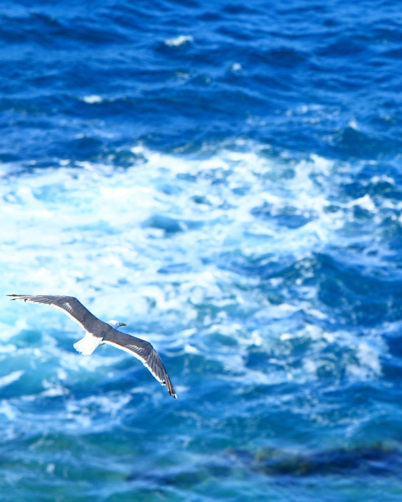 道南サーフィン