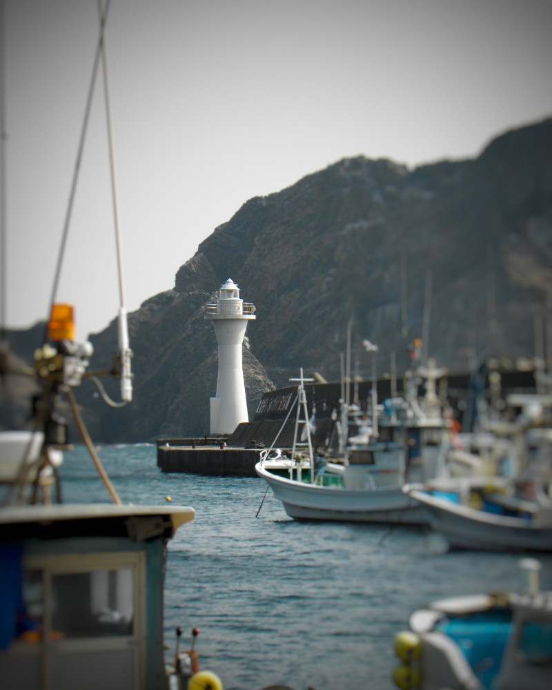 函館フィッシング