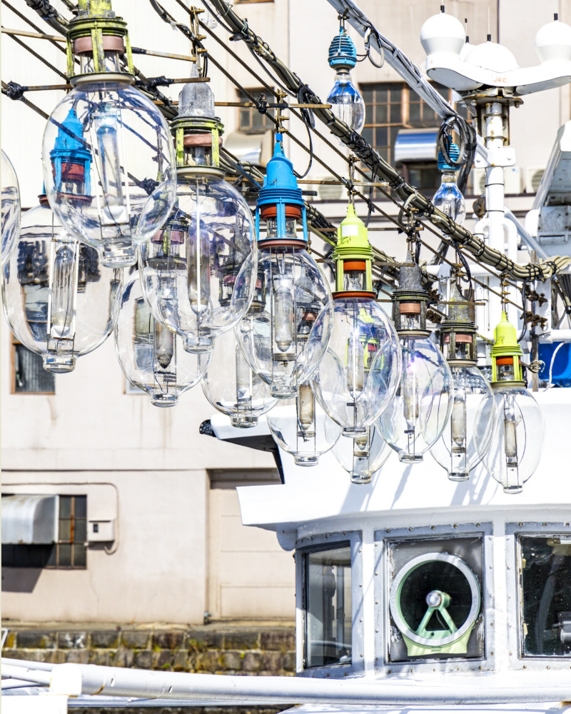 函館フィッシング