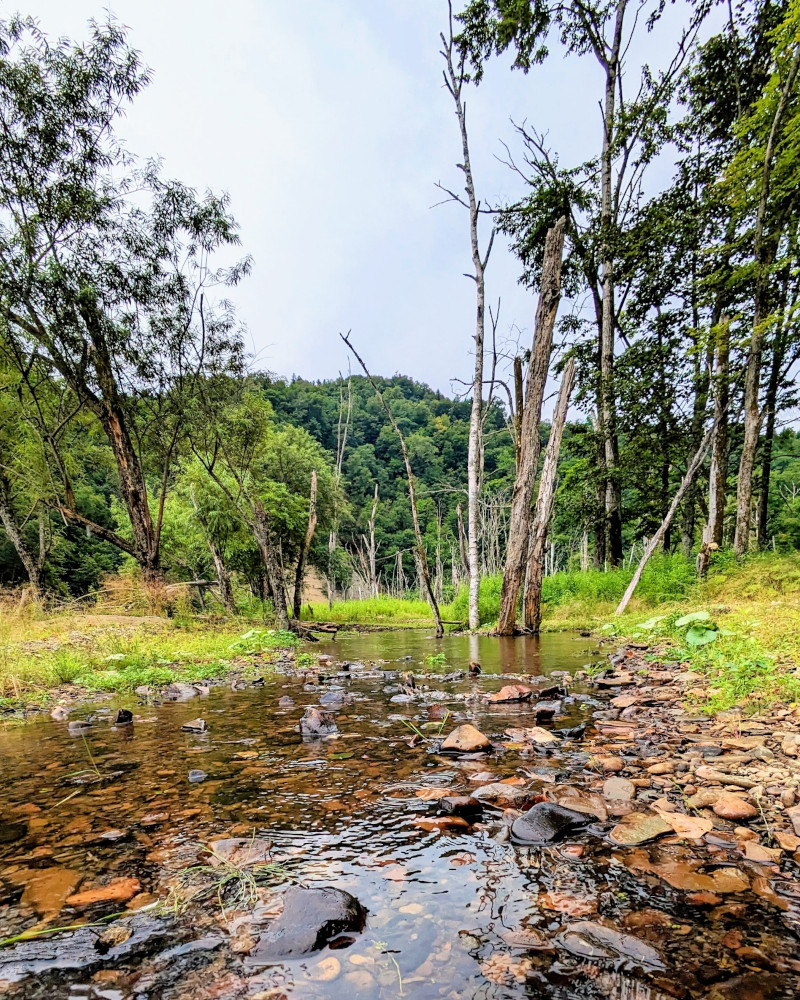 函館フィッシング