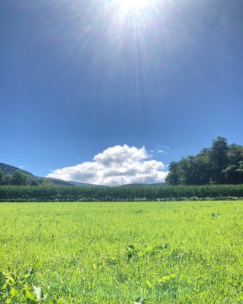 予約画面サンプル2