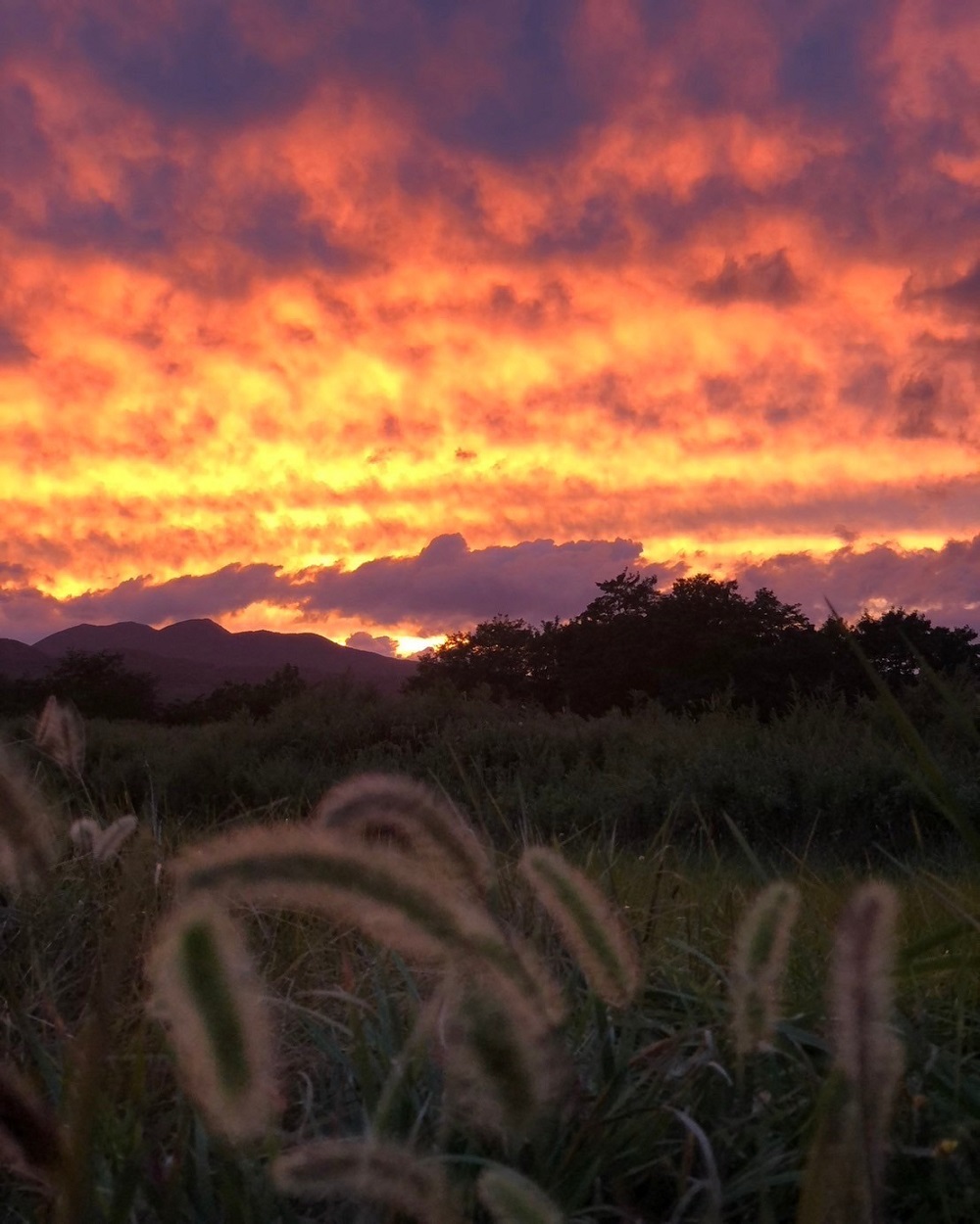 予約画面サンプル4