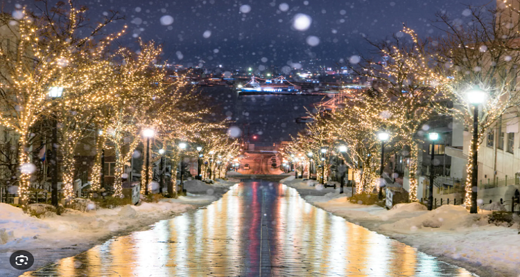 フモトノ&mus. 函館山麓の貸切プライベートサウナ付き高級貸別荘 夜のライトアップヒーロービジュアル